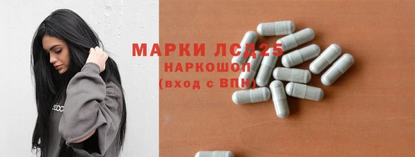 эйфоретик Аркадак